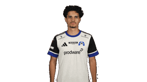 Hamburger Sv Football Sticker by Bundesliga