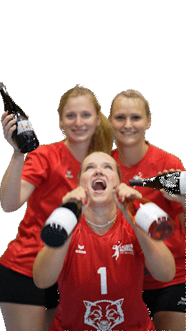 RotesRudel giphyupload volleyball svf fellbach Sticker