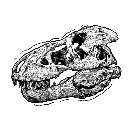 Velozee skull dinosaur roar t rex Sticker