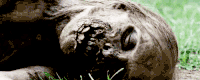 GIF by netflixlat