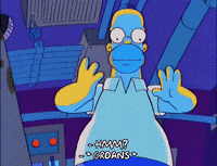 homer simpson GIF