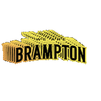 Basketball Nba Sticker by Brampton Honey Badgers