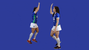 Volleyball Mtcvolei GIF by Minas Tênis Clube