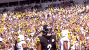 Sport Celebration GIF by Pittsburgh Steelers