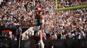 Cincinnati Football Ruckus GIF by Cincinnati Bearcats