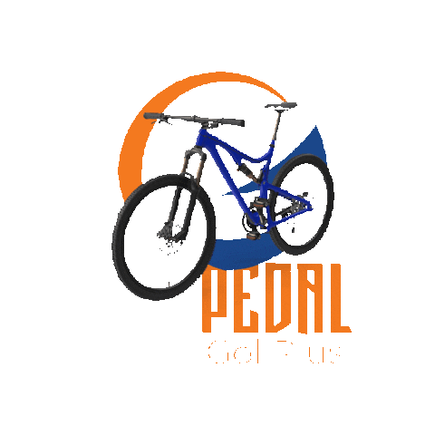 Teste Sticker by Gol Plus Proteção Veicular