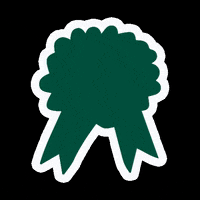 helixsleep certified birch GIF