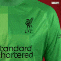 What Is That Premier League GIF by Liverpool FC