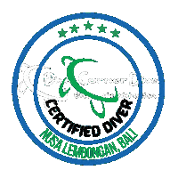 Open Water Bubbles Sticker by Blue Corner Dive Bali