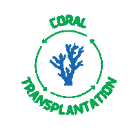 Open Water Bubbles Sticker by Blue Corner Dive Bali