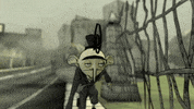 Indiana Jones Cat GIF