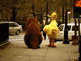 New York City GIF by Muppet Wiki