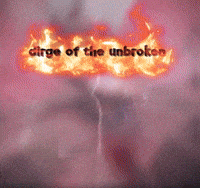 Castor GIF