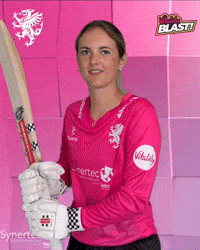 T20 Vitality Blast GIF by Somerset County Cricket Club