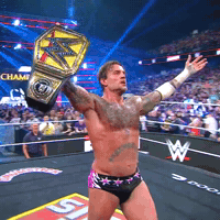 Celebrating Cm Punk GIF by WWE