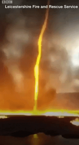 yj_jane giphygifmaker GIF