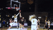Basketball Bison GIF by NDSU Athletics