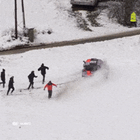 Monte-Carlo Fans GIF by FIA World Rally Championship