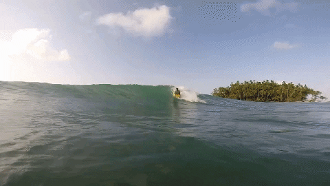 Sport Beach GIF by Bodyboarding Panama