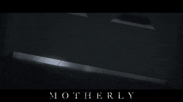Movie Film GIF by Raven Banner Entertainment