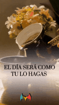 Amigos Flores GIF by Murcianys LLC