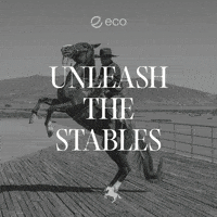 To The Moon Crypto GIF by Eco