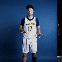themadants basketball nba chill crowd GIF