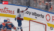 Happy National Hockey League GIF by NHL