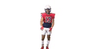 Gio G13 Sticker by Richmond Spiders