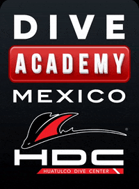 HuatulcoDiveCenter scuba diving buceo padi padi divemaster GIF