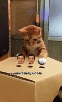 Feliz Familia GIF by Murcianys LLC