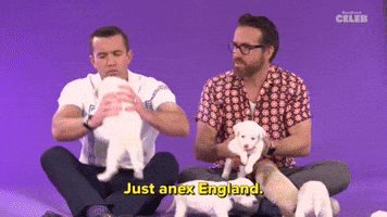 Just Anex England
