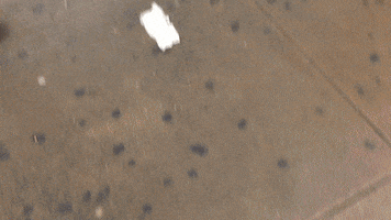 weekend brooklyn GIF