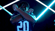Old Dominion Sport GIF by ODU Football