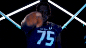 Old Dominion Sport GIF by ODU Football