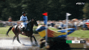 Celebrate Cross Country GIF by FEI Global