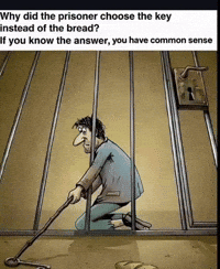 Bread Missing GIF