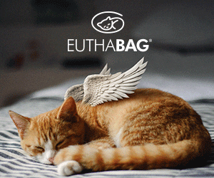 heleneperras giphyupload endoflife euthabag peteuthanasia GIF