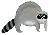 Raccoon Sticker by Tomboy