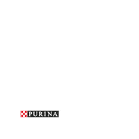 Gatos Perros Sticker by Purina España