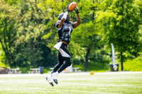 pantherswroclaw panthers wroclaw pantherswroclaw GIF