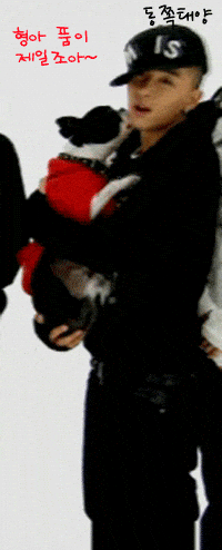 top sol bigbang gdragon yg GIF
