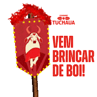 Parintins Boicaprichoso Sticker by Grupo Simões