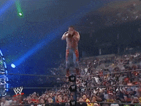 wwe sports wwe wrestling summerslam GIF