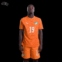 Fifa World Cup Elephants GIF by Respective