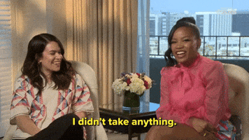 I Didn't Take Anything