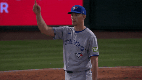 Blue Jays Baseball GIF by Toronto Blue Jays