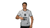 Chenois Sticker by CS Chênois Genève Handball