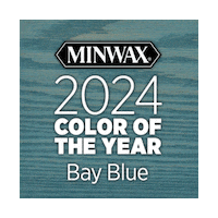 Color Of The Year Wood Sticker by Minwax