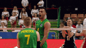Happy Go Crazy GIF by Volleyball World